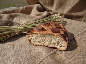factice alimentaire faux pain rustique ouvert
