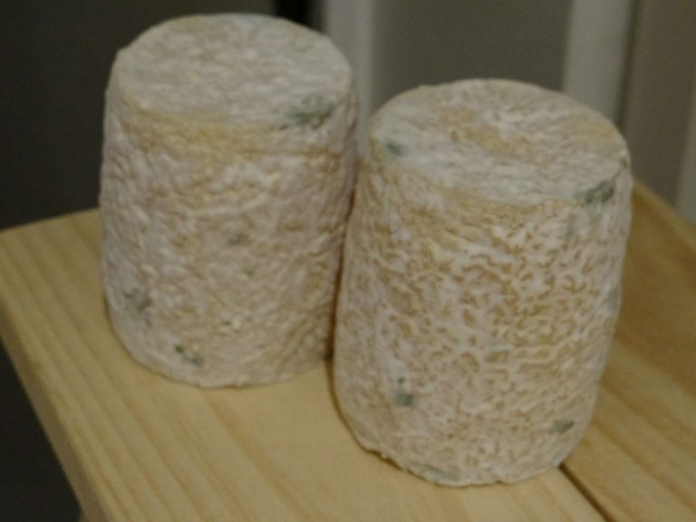 factices alimentaires de fromages de type charollais affinés avec effet de moisissure