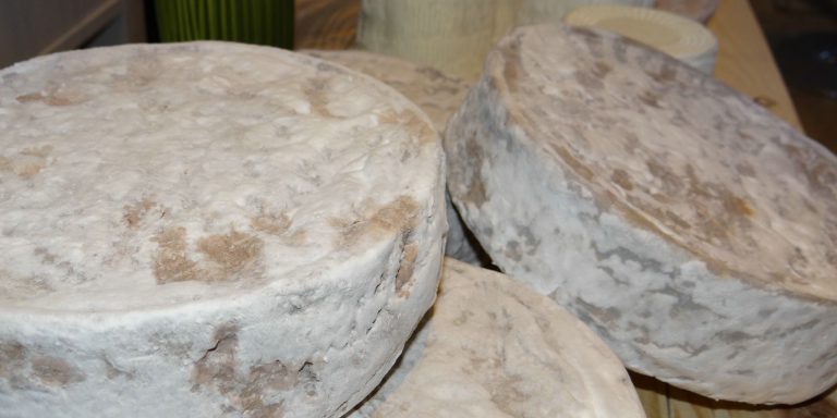 factices alimentaires de fromages en résine