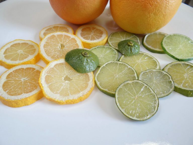 fausses rondelles de citron déco