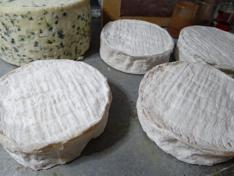 fromages factices en résine by atelier cobalt fx
