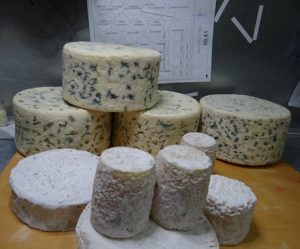 étapes de travail et de préparation d'envoi des fromages factices de l'atelier cobalt fx