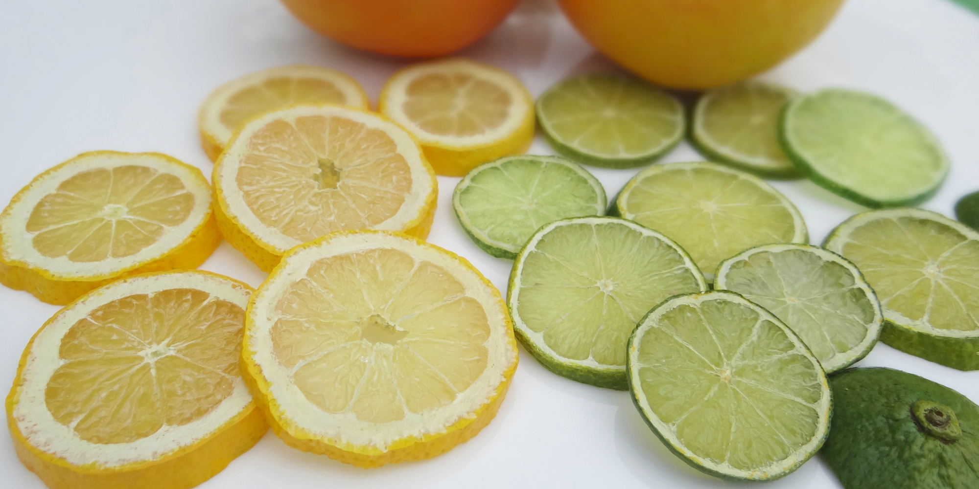 faux citrons en rondelles et citrons verts factices - pamplemousses 