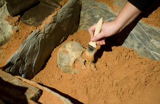 fouilles-tombe-merovingienne-fac-simile