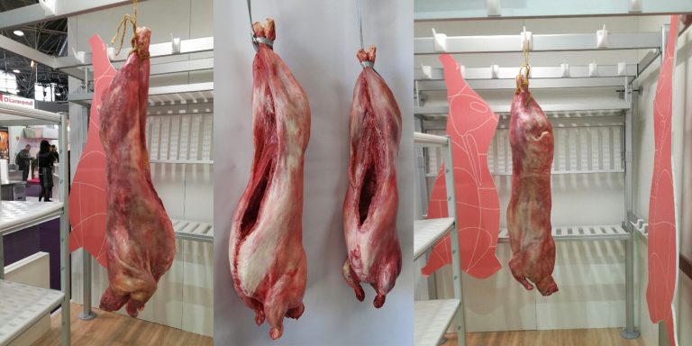 viande factice fausses carcasses d'agneau, de veau, de porc ou de bœuf en résine