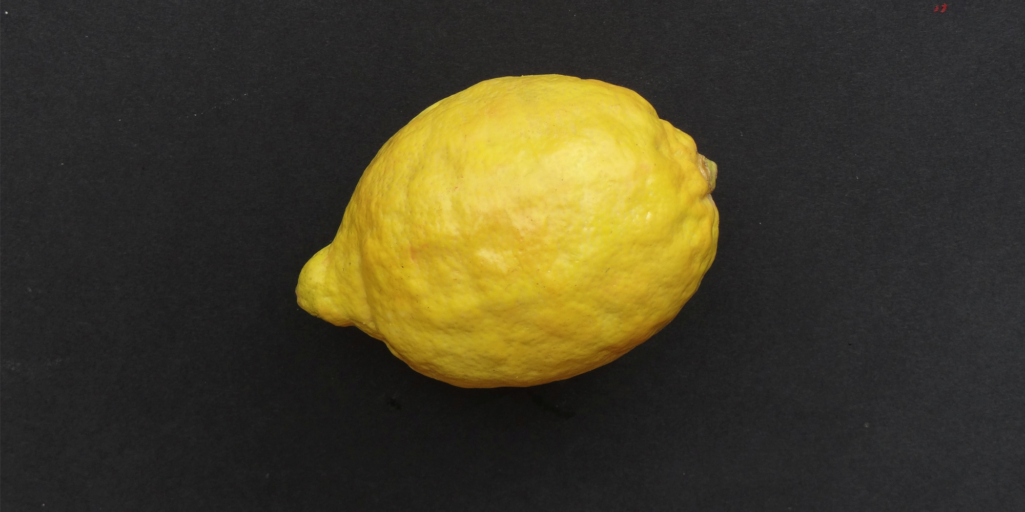citron factice en résine made in Atelier Cobalt Fx
