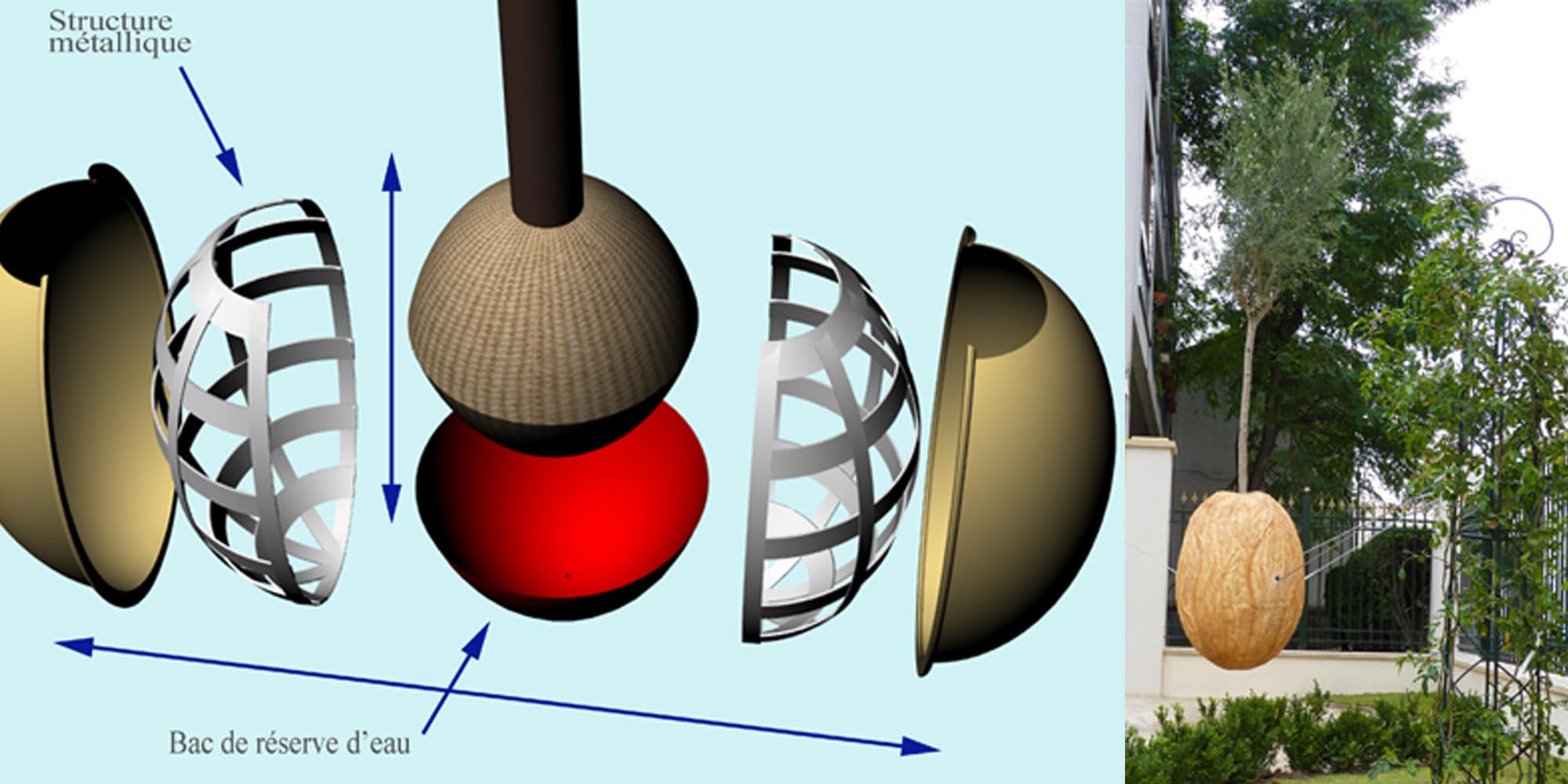 structure métallique et croquis de la sculpture végétale pour extérieur de graine d'arbre suspendue