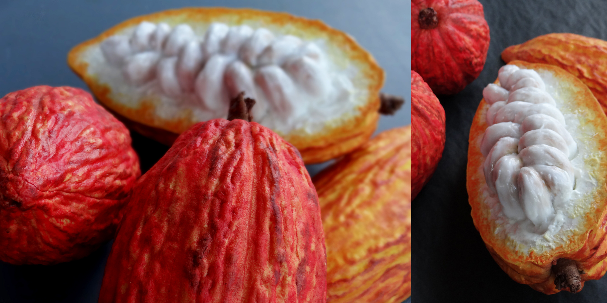 cabosses-fraiches-cacao-factice-alimentaire-entiere-ouverte