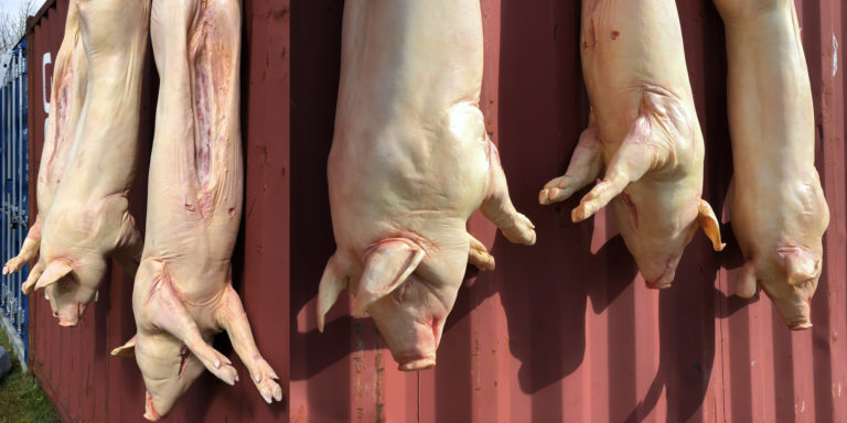 fausses carcasses de viande pour décor, musée, exposition